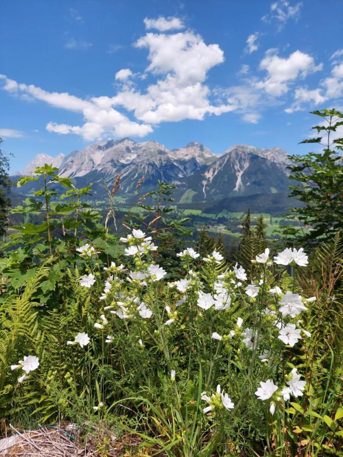Schroeckerhof Hotel Schladming